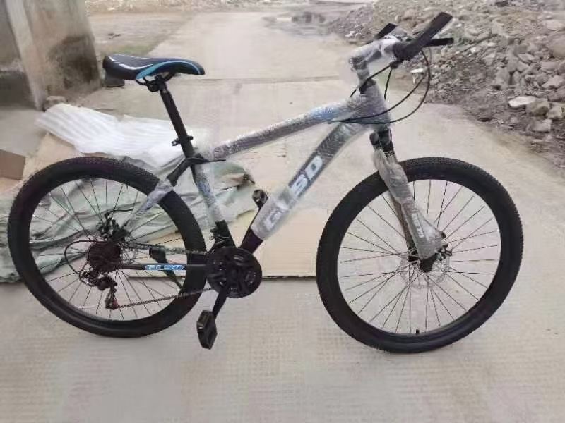 49800 - Bicycle China